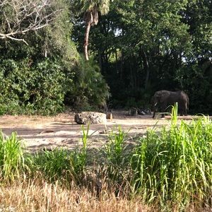 Meet your Posher, Connie